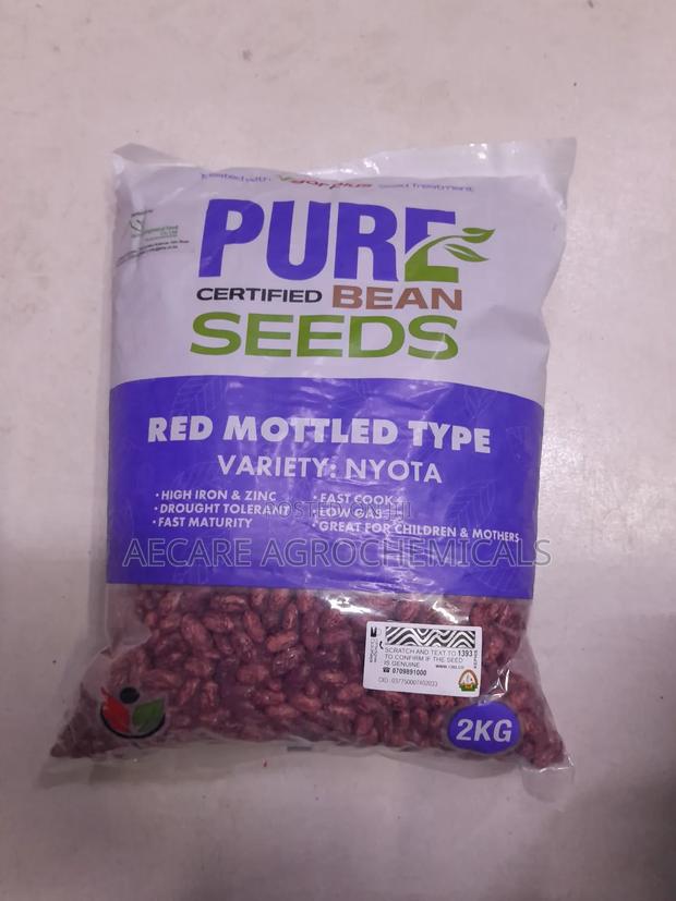 Nyota Beans Seeds 1kg, 2kg , Pure Certified Bean Seeds - thumbnail 7