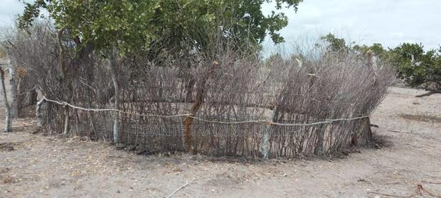 100-Acre Farm Land for Sale – Malindi (Minimum 10 Acres) - thumbnail 3