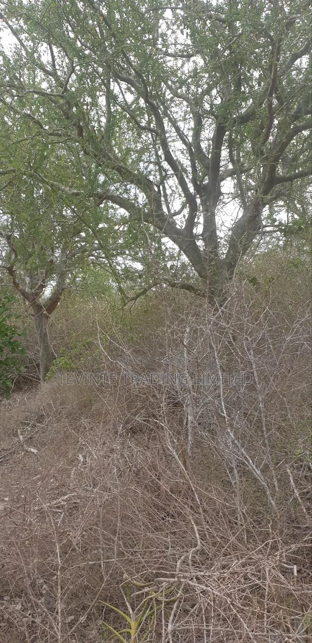 100-Acre Farm Land for Sale – Malindi (Minimum 10 Acres) - thumbnail 4