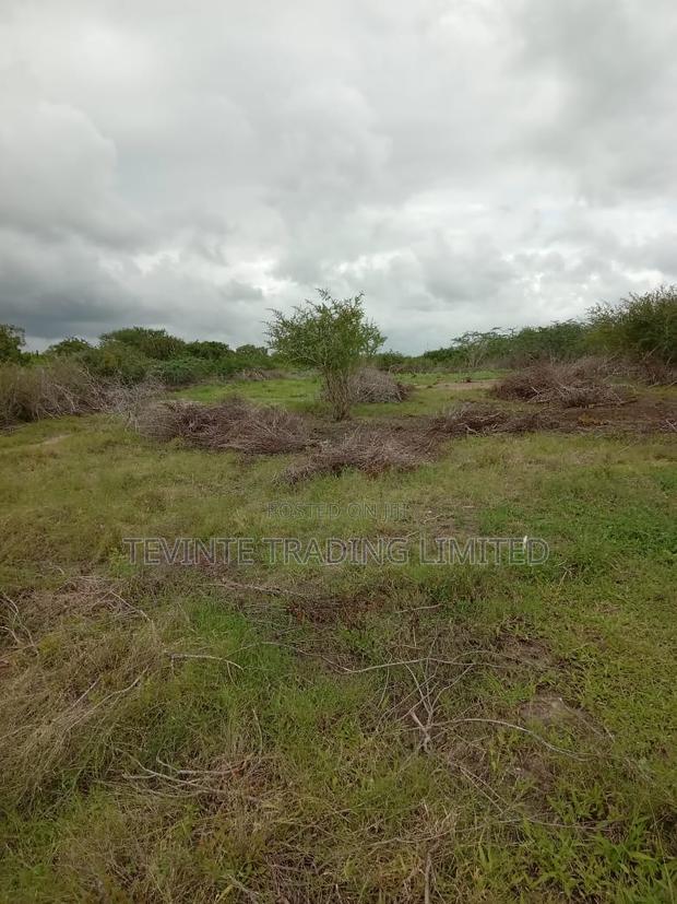 100-Acre Farm Land for Sale – Malindi (Minimum 10 Acres) - thumbnail 5
