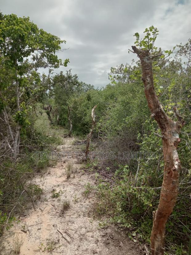 100-Acre Farm Land for Sale – Malindi (Minimum 10 Acres) - thumbnail 7