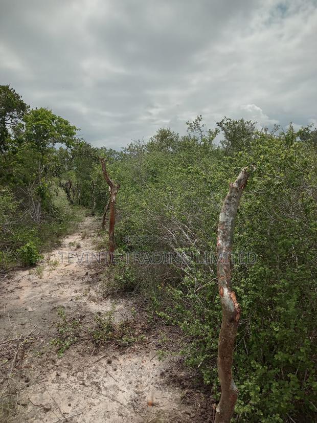 100-Acre Farm Land for Sale – Malindi (Minimum 10 Acres) - thumbnail 8