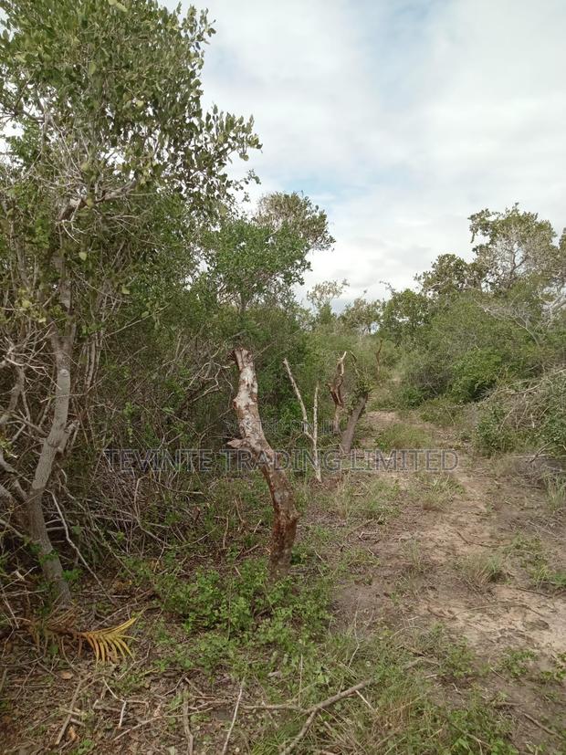 100-Acre Farm Land for Sale – Malindi (Minimum 10 Acres) - thumbnail 9