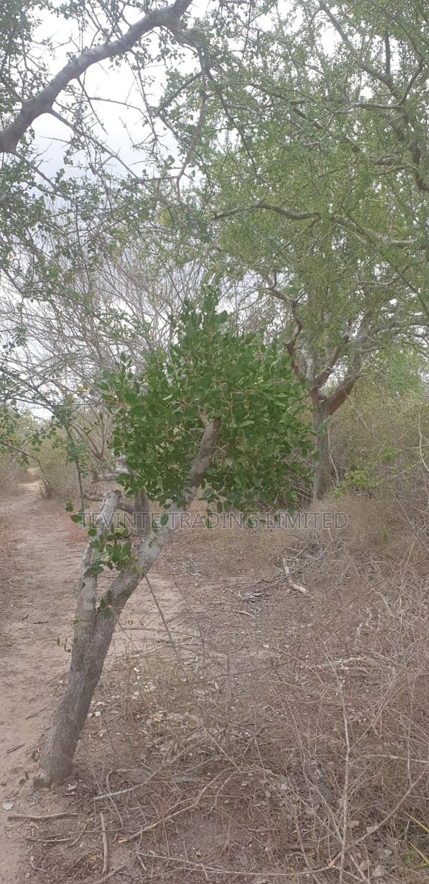 100-Acre Farm Land for Sale – Malindi (Minimum 10 Acres) - thumbnail 10