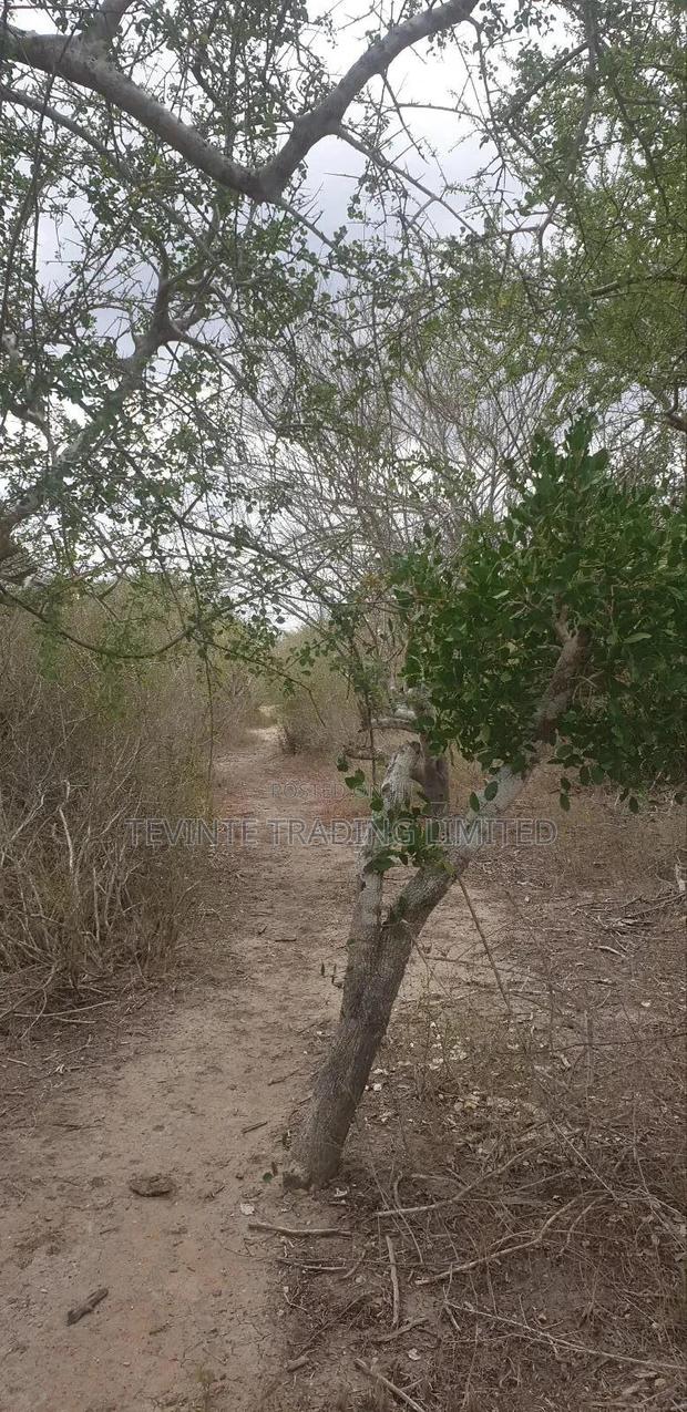 100-Acre Farm Land for Sale – Malindi (Minimum 10 Acres) - thumbnail 2