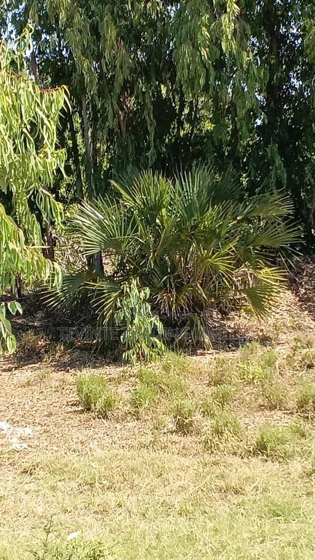 100-Acre Farm Land for Sale – Malindi (Minimum 10 Acres) - main view