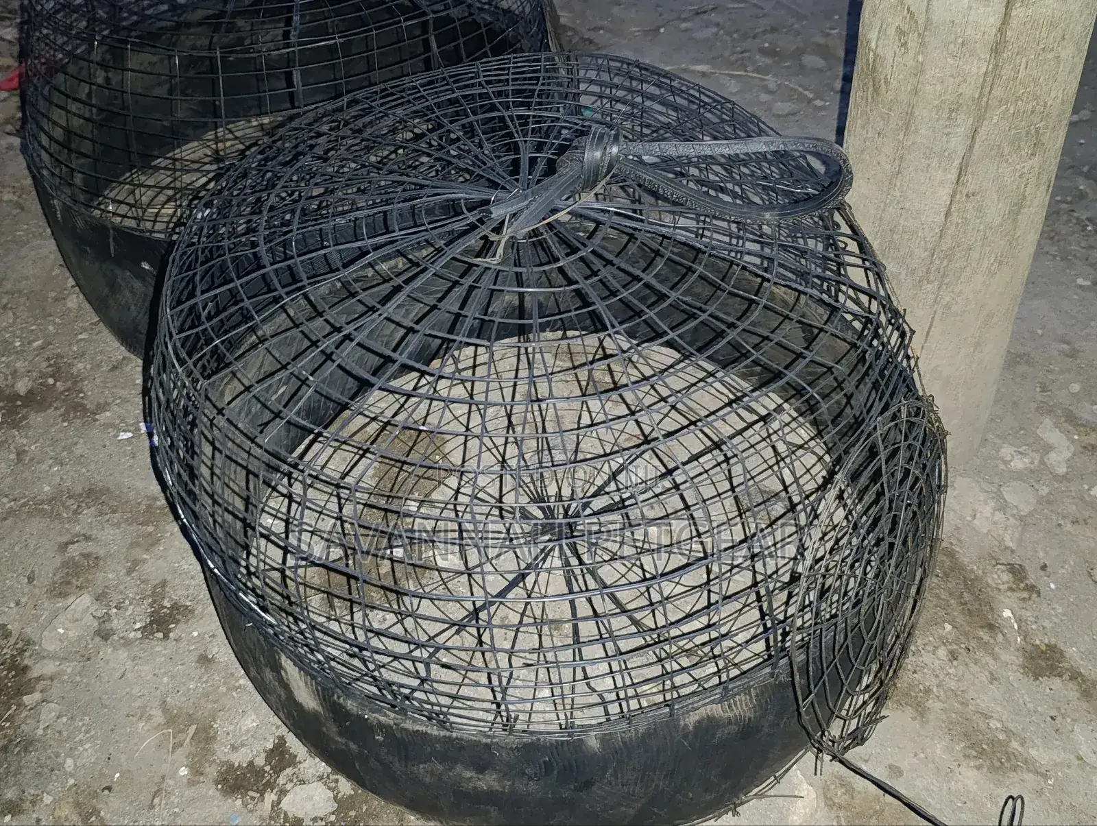 Vintage Metal Wire Cages Detailed for Pet Chicks and Hen Baskets
