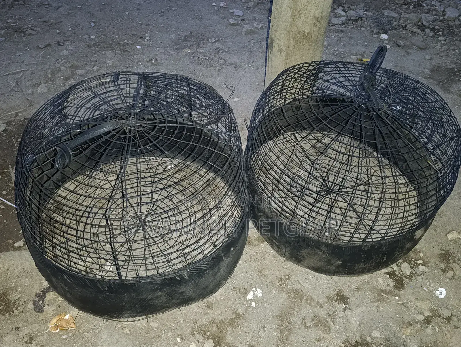Vintage Metal Wire Cages Detailed for Pet Chicks and Hen Baskets