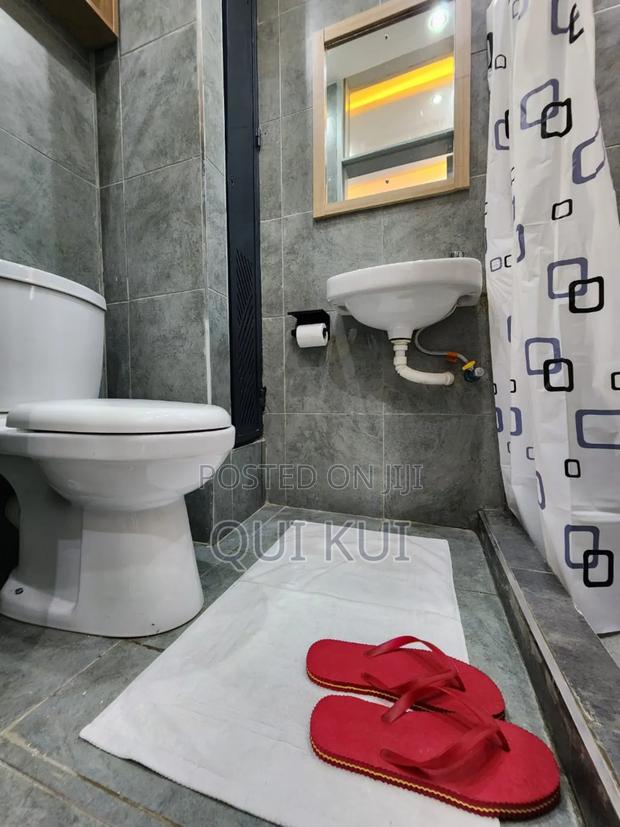 Studio Apartment in Kiambu Near Kist - thumbnail 4