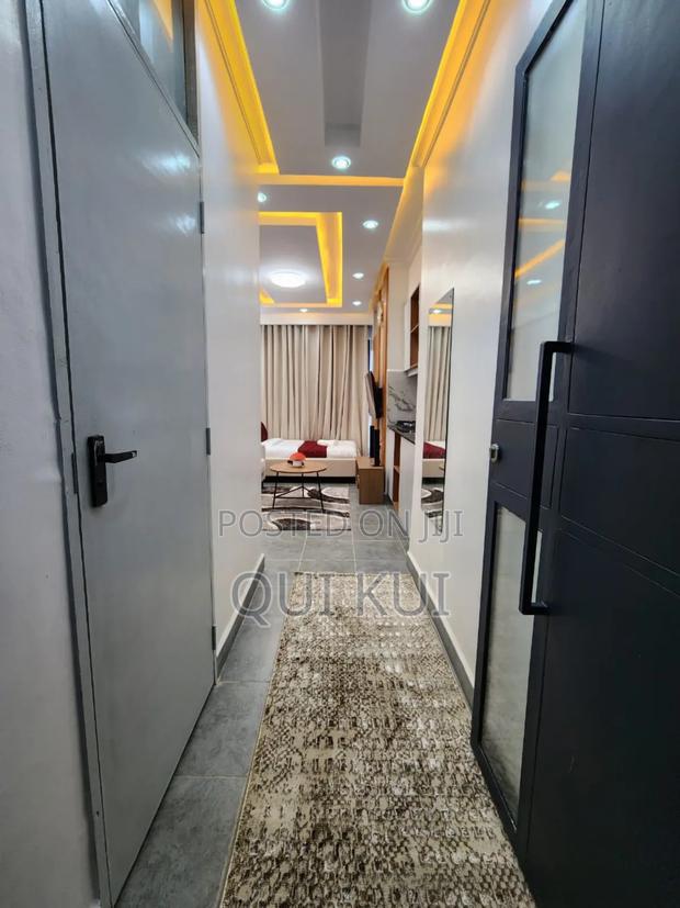 Studio Apartment in Kiambu Near Kist - thumbnail 6