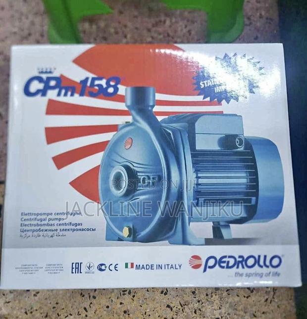 Pedrollo 1hp Water Pump/ 1hp Electric Booster Pump Pedrollo/ Pedrollo - main view