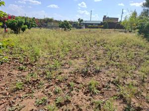 1/2 Acre Land - thumbnail 2