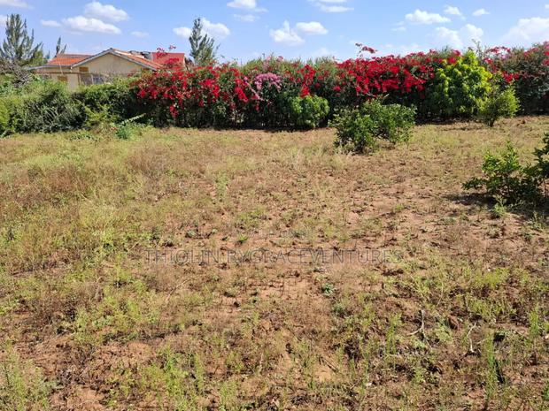 1/2 Acre Land - thumbnail 3