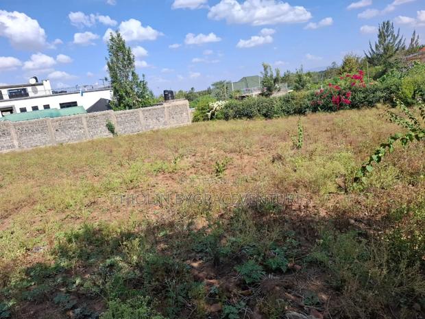 1/2 Acre Land - thumbnail 4