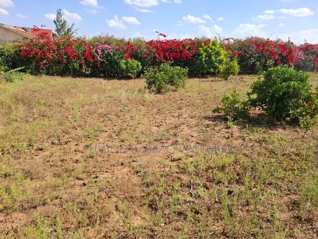 1/2 Acre Land - thumbnail 6