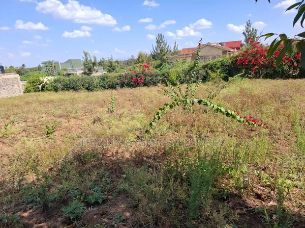 1/2 Acre Land - thumbnail 7