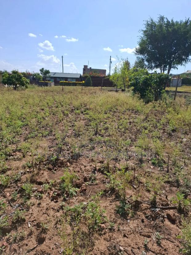 1/2 Acre Land - thumbnail 8