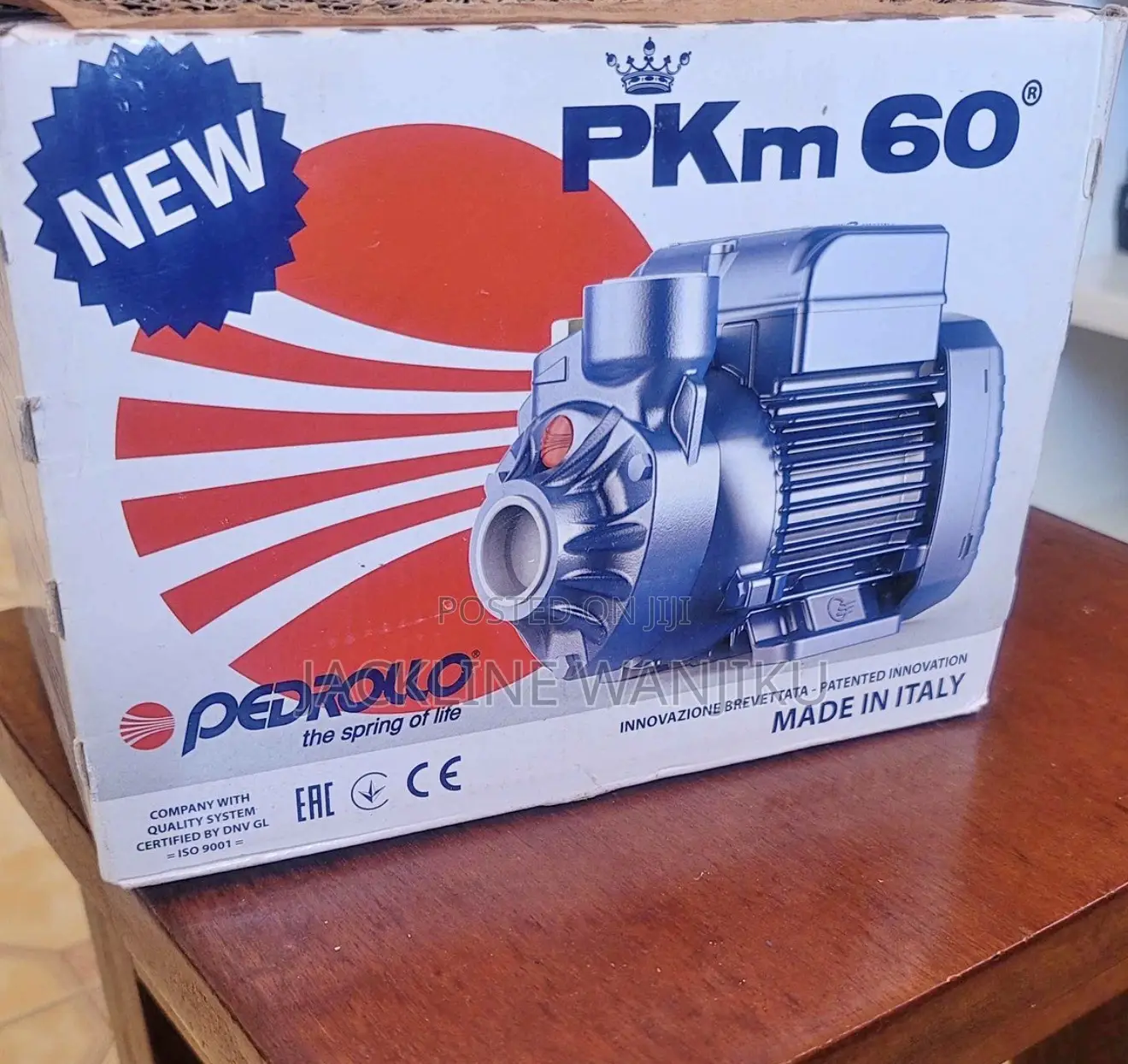 PKM 60 0.5hp Pedrollo Water Pump/ Electric Pedrollo Booster Pump 0.5hp