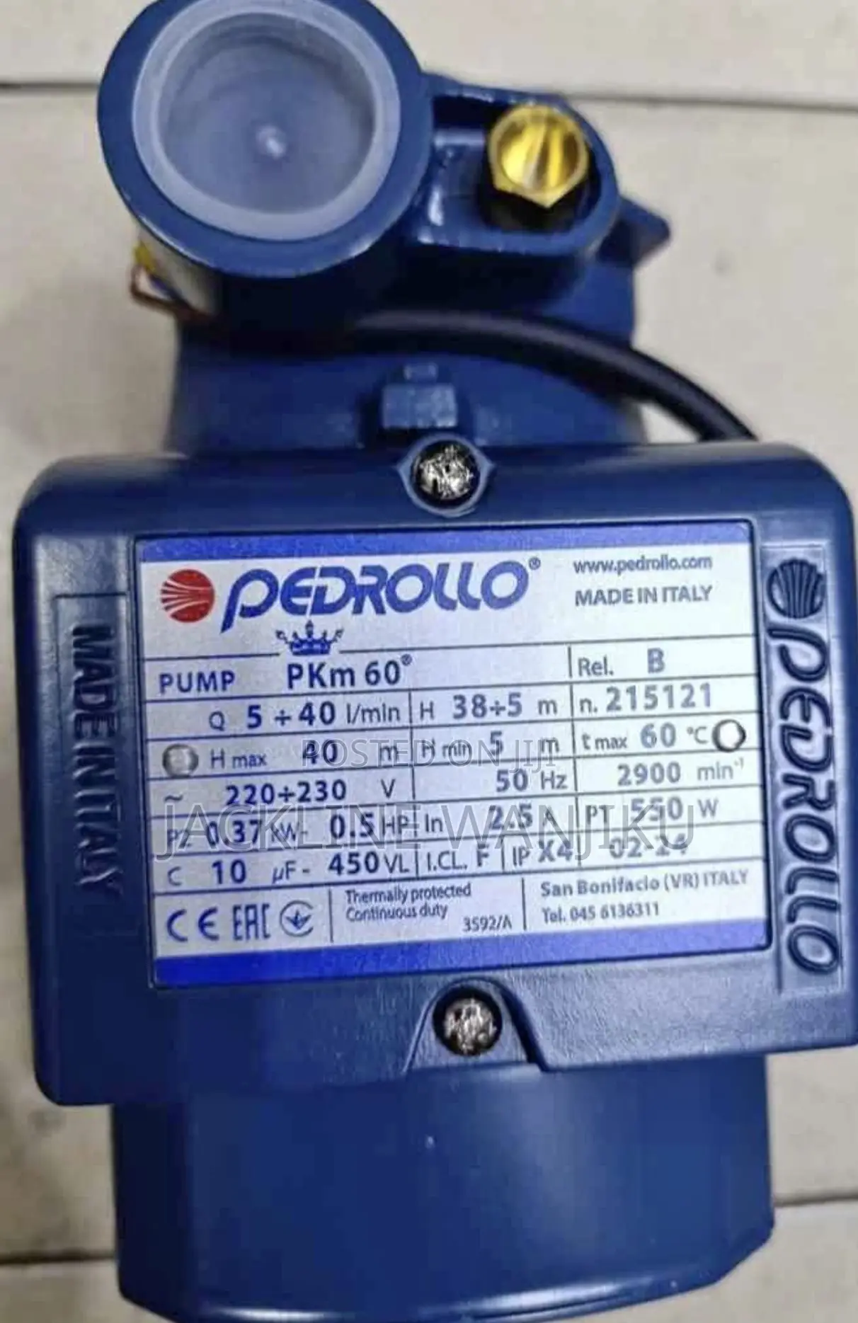 Original Pedrollo Water Pump (Pkm60)