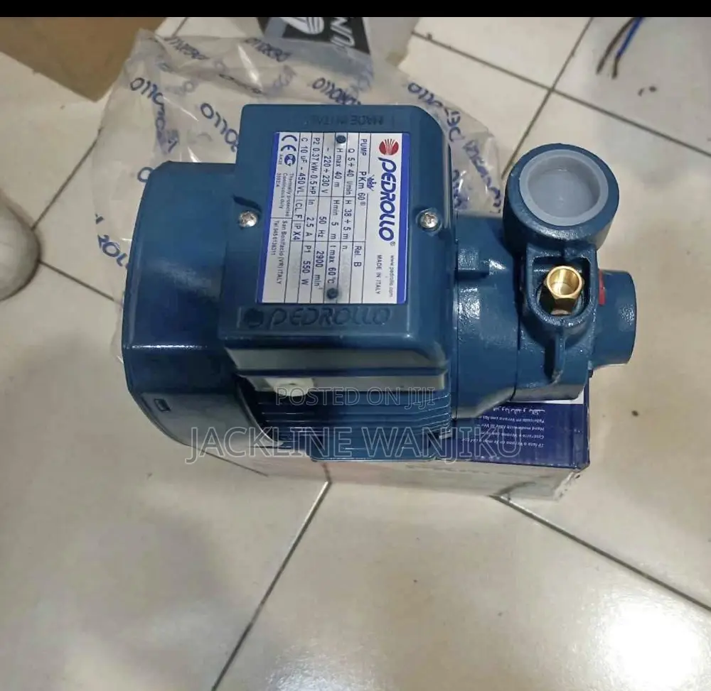 Pedrollo Surface Water Pump 0.5hp / Electric 0.5 PKM 60 Pedrollo Pump