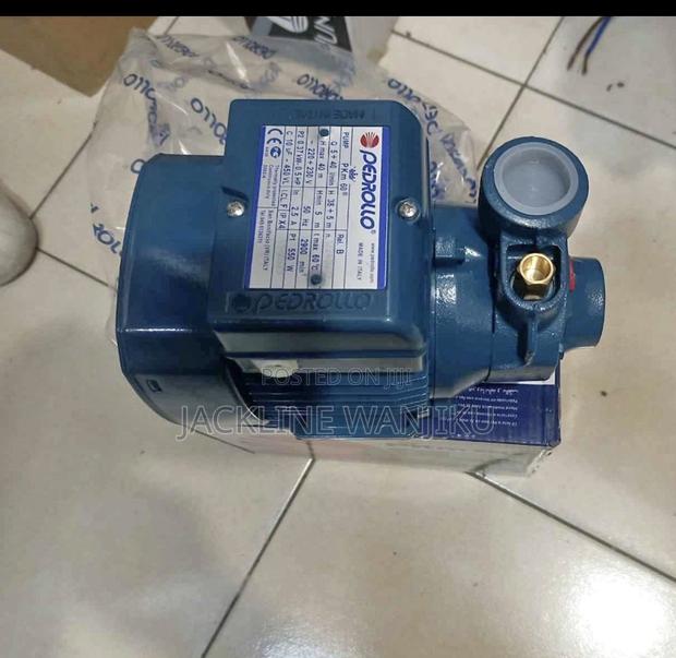 Pedrollo Surface Water Pump 0.5hp / Electric 0.5 PKM 60 Pedrollo Pump