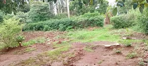 Lower Matasia Prime 100x100 Plot on Tarmac Road
