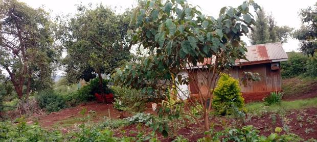 Lower Matasia Prime 100x100 Plot on Tarmac Road - thumbnail 6