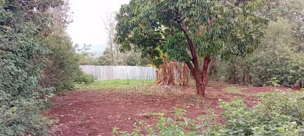 Lower Matasia Prime 100x100 Plot on Tarmac Road - thumbnail 7