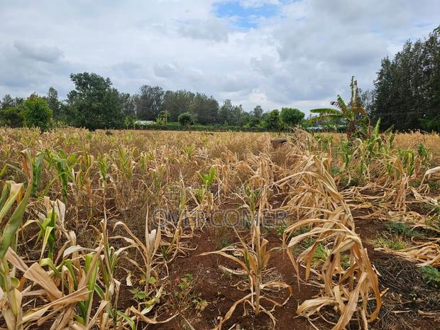 Sagana-Kirinyaga County - thumbnail 4