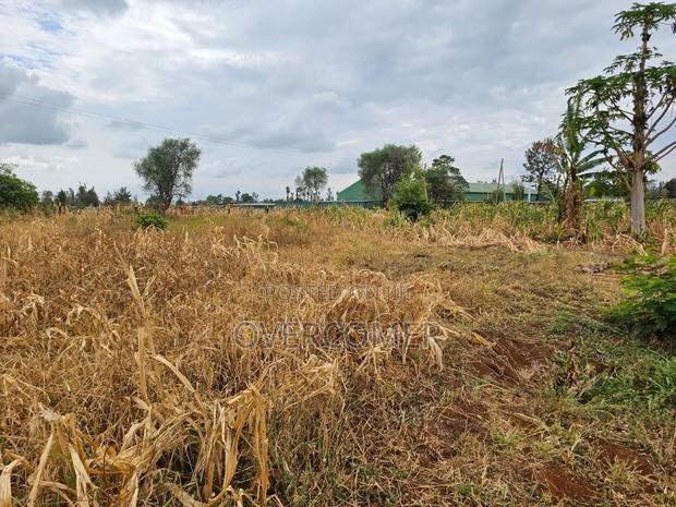 Sagana-Kirinyaga County - thumbnail 5