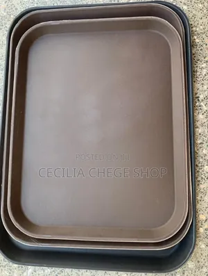 Nonslip Restaurant Trays