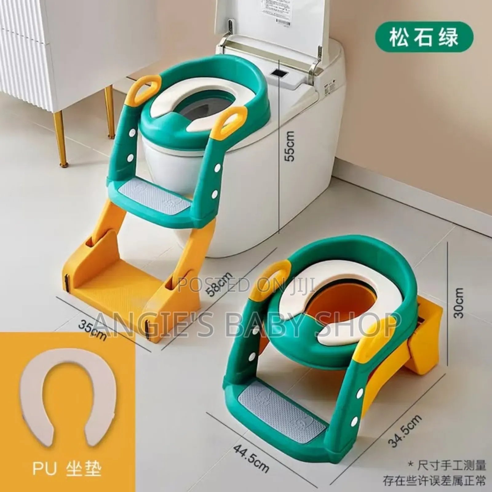 2 in 1 Potty