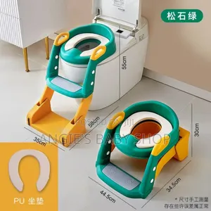 2 in 1 Potty