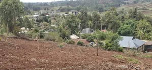 50x100 Residential Plot Available for Sale in Kikuyu Migumoini