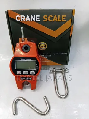 New Affordable Quality/300kg Crane Scale