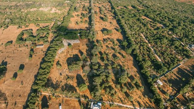 Serviced 1/4 1/2 Acre Plots - Blue Green Estates, Vipingo - thumbnail 6