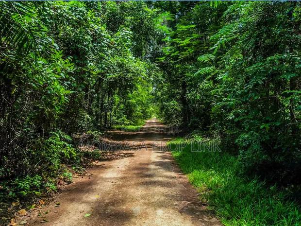 Serviced 1/4 1/2 Acre Plots - Blue Green Estates, Vipingo - thumbnail 9