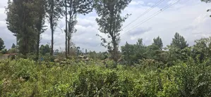 3/4 ) Acres Land for Sale in Kikuyu Ondiri