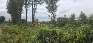 3/4 ) Acres Land for Sale in Kikuyu Ondiri
