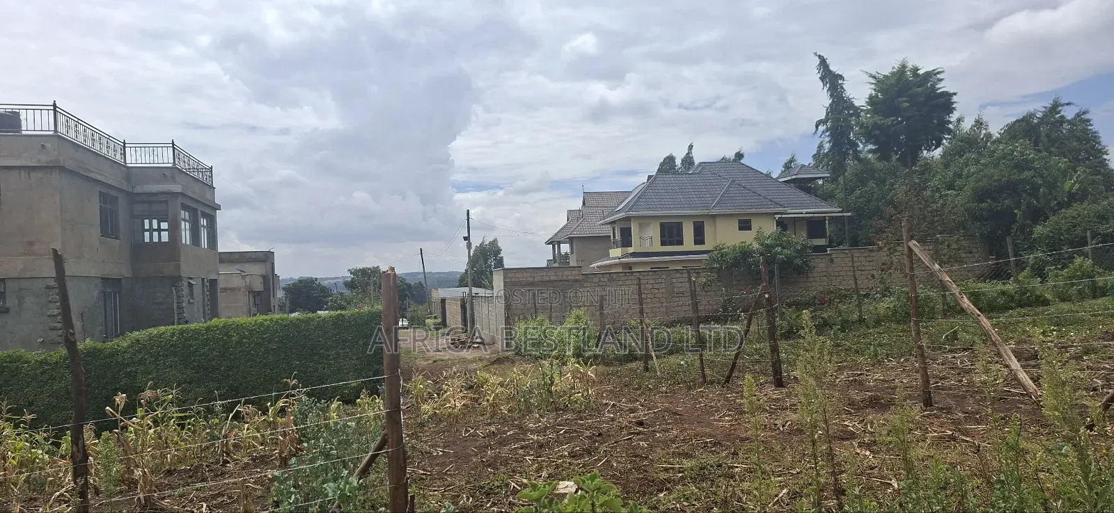 Available 4 Plots 50x100 in Muguga Thamanda