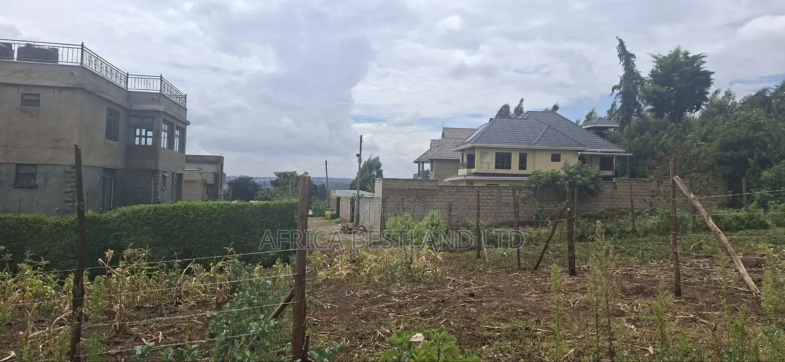 Available 4 Plots 50x100 in Muguga Thamanda
