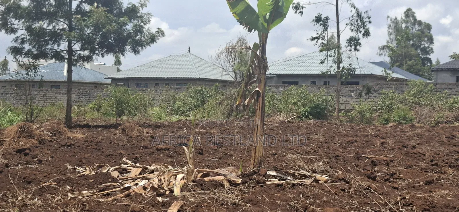 Location Gikambura Kiambu County 50x100 Plot