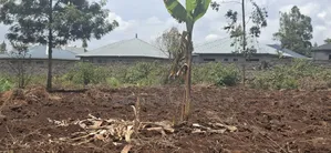 Location Gikambura Kiambu County 50x100 Plot