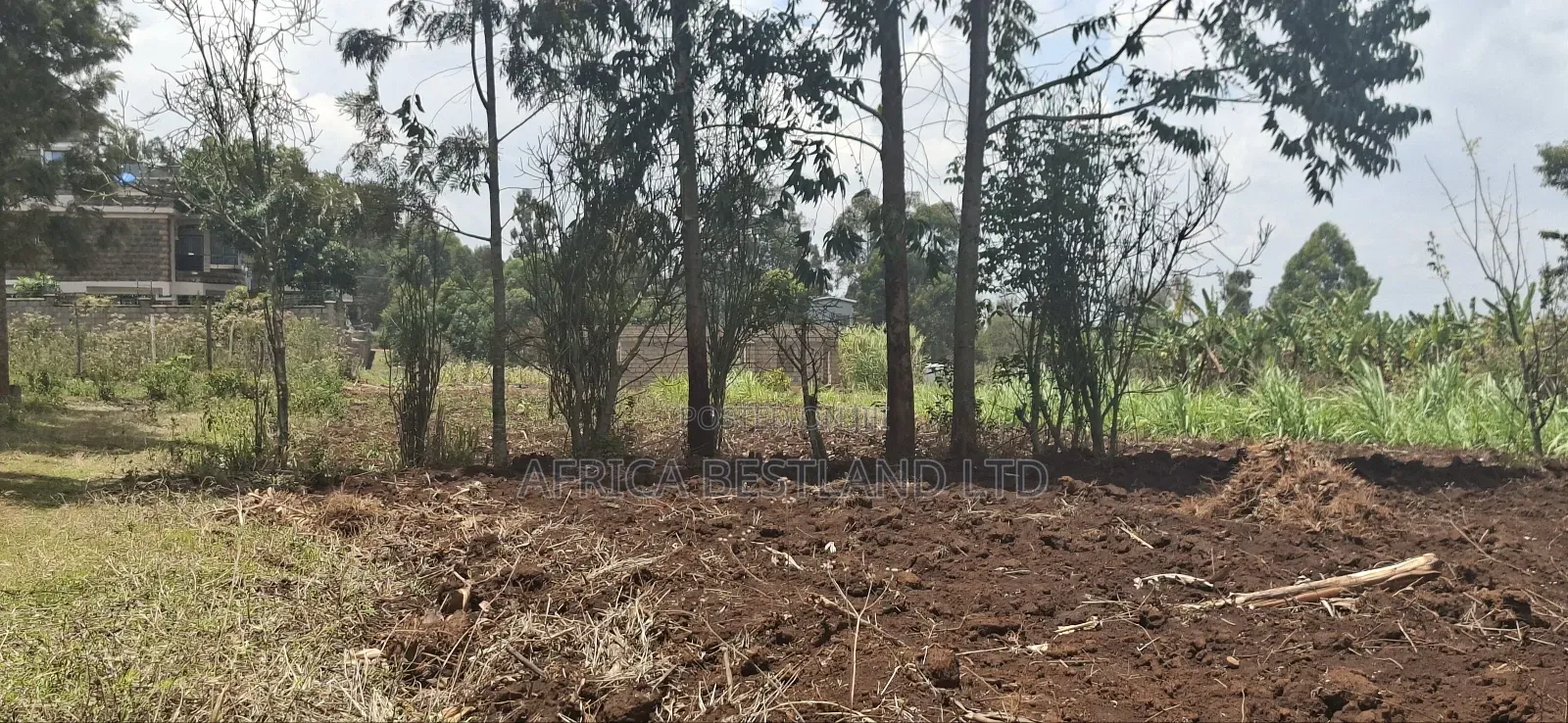 Location Gikambura Kiambu County 50x100 Plot