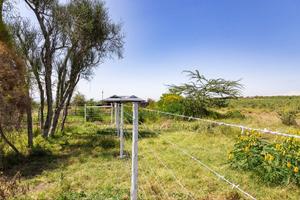 Nanyuki Country Side Investment. - thumbnail 2
