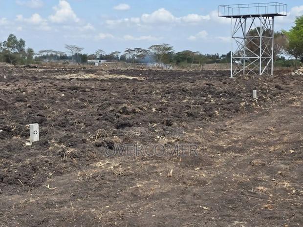 Joska Sunshine - main view