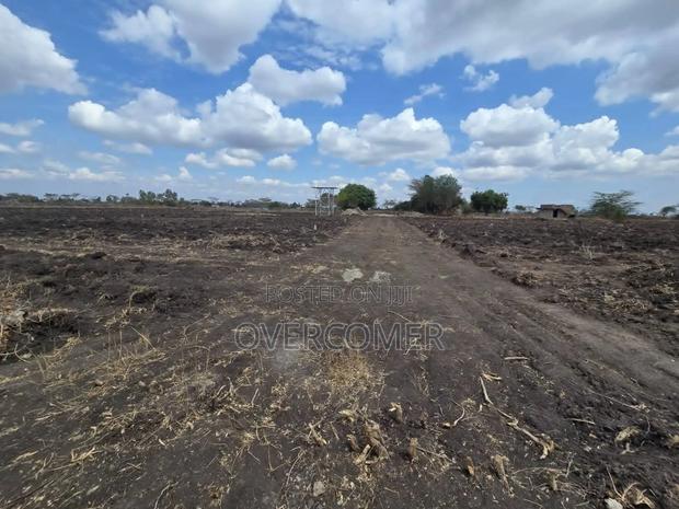 Joska Sunshine - thumbnail 2