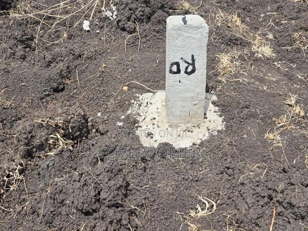 Joska Sunshine - thumbnail 3