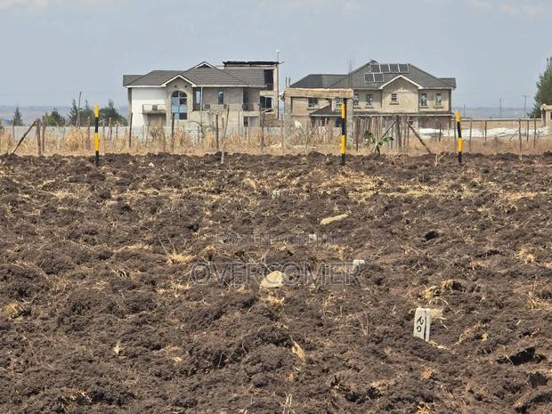 Joska Sunshine - thumbnail 4