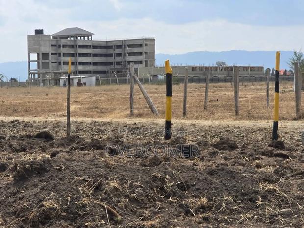 Joska Sunshine - thumbnail 5